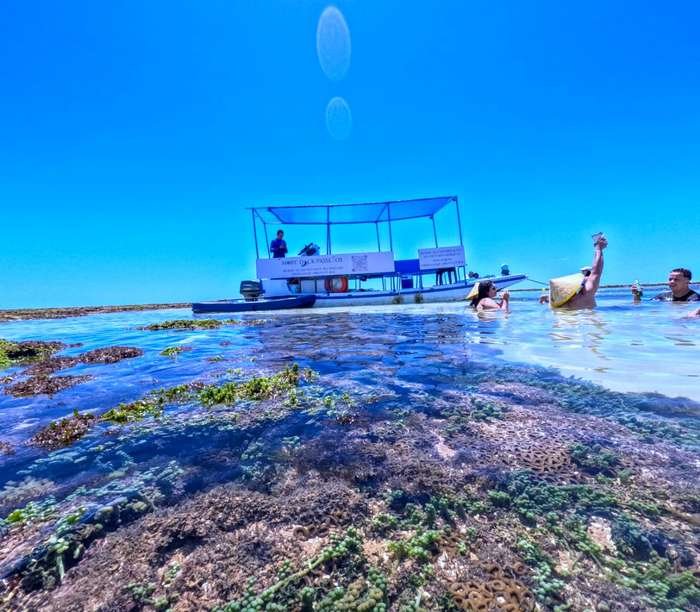 Espetinhos grelhados servidos a bordo durante o passeio de barco em João Pessoa